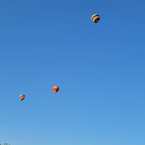 Meet your Posher, Leah - Picture 1 of 1